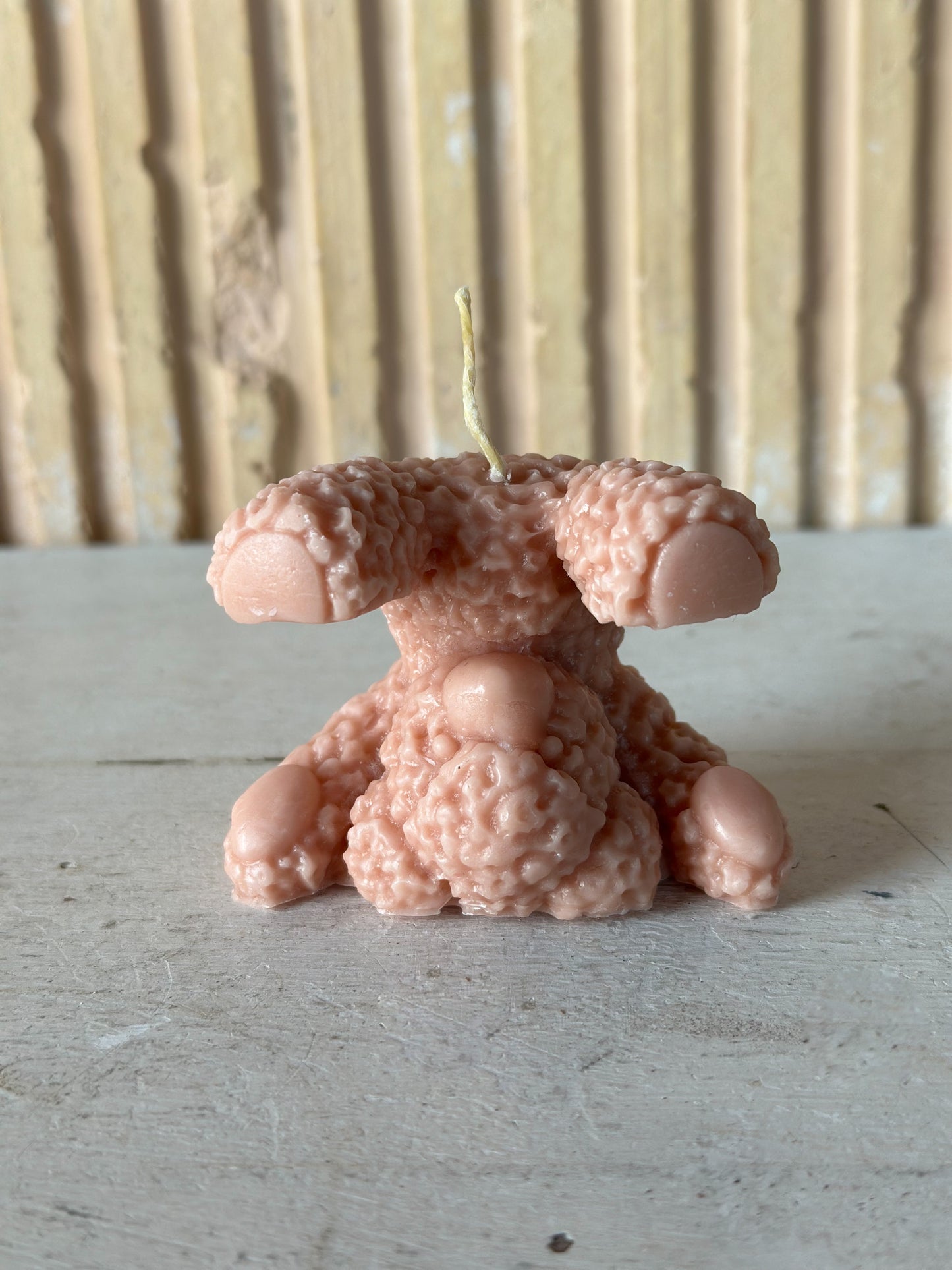 Teddy Bear Shaped Candle