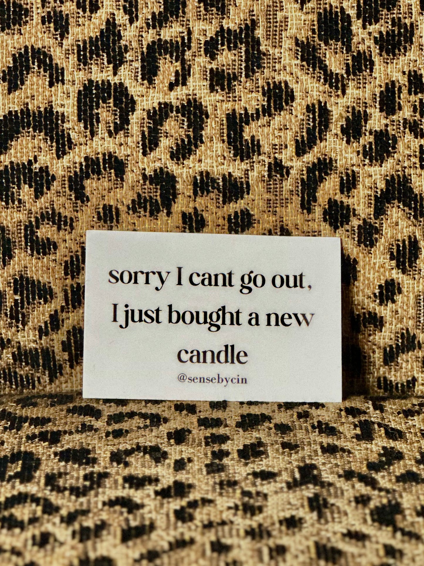 Sorry I Cant Go Out Sticker