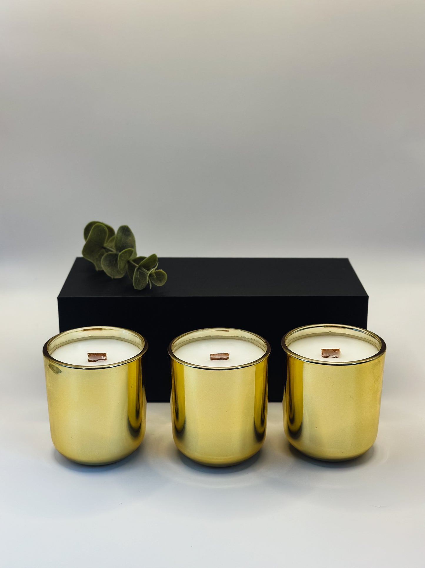 Survivor Mini Candle Set