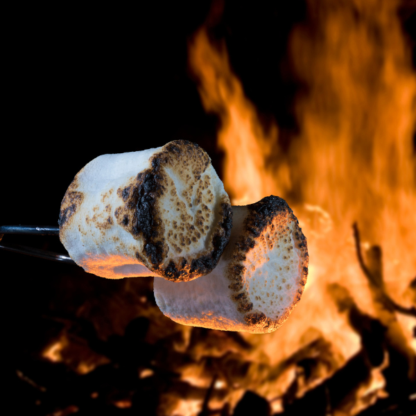 Toasted Marshmallow Wooden Wick Candle